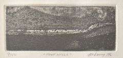 'Foot Hills' by Unknown Artist (Illegible)