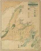 Geological Map of Newfoundland
