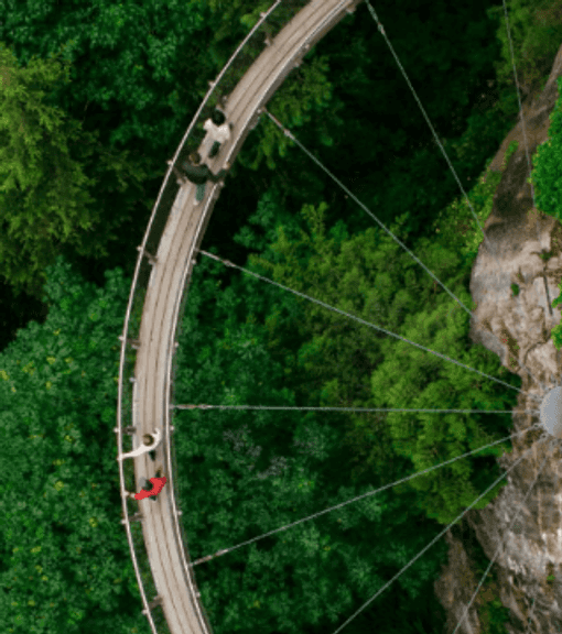 Capilano Suspension Bridge for 2