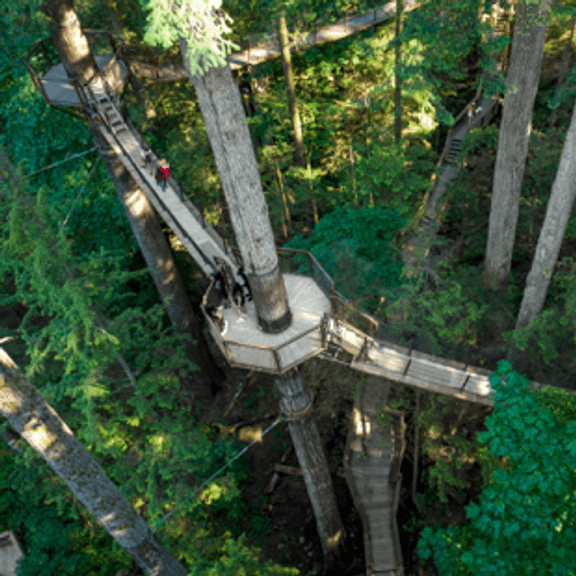 Capilano Suspension Bridge for 2