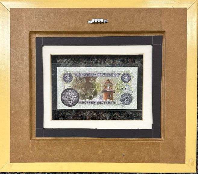 Unique Newfoundland One Dollar Bill. Featuring Shanawdithit.