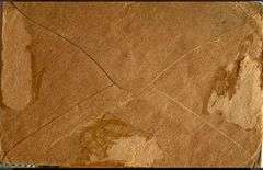 WW1 Royal Newfoundland Regiment envelope