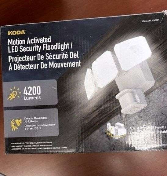 Security Flood Light