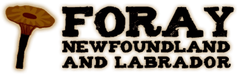 'Merry Mushrooms' Benefit Auction - ForayNL 2025