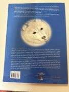 How Dog Became A Friend by Paul O'Neill (Illustrated by Cynthia Colosimo)