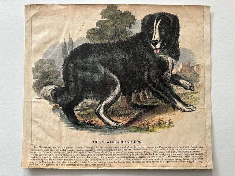 Four prints incl map and NL dog, see description