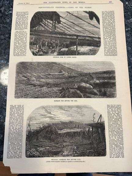 Collection Nfld steel engravings as illustrated