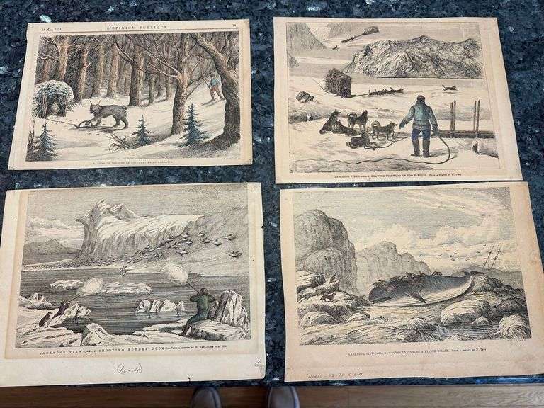 Collection Nfld steel engravings as illustrated