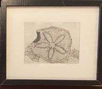 Sand Dollar By Dianne McFarlane