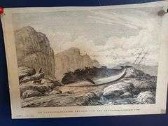 collection 8 19th Century NL steel engravings