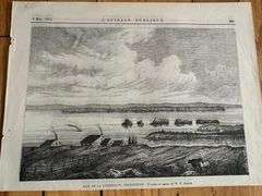 Collection of NL Steel engravings