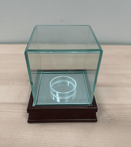 Memorabilia Case