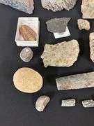 Fossil Collection