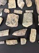 Fossil Collection