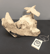 Rabbit and Owl Carving