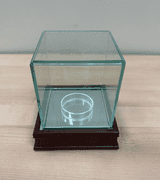 Memorabilia Case