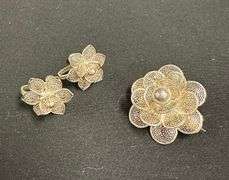 Broach and Earrings