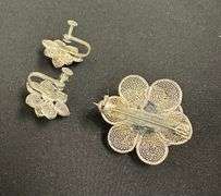 Broach and Earrings