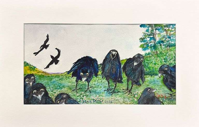 Crows Who Visit Me by Jane Prior