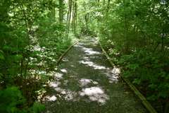 15528 McDuffee Rd., Churubusco, IN