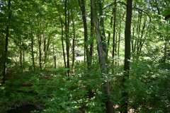 15528 McDuffee Rd., Churubusco, IN