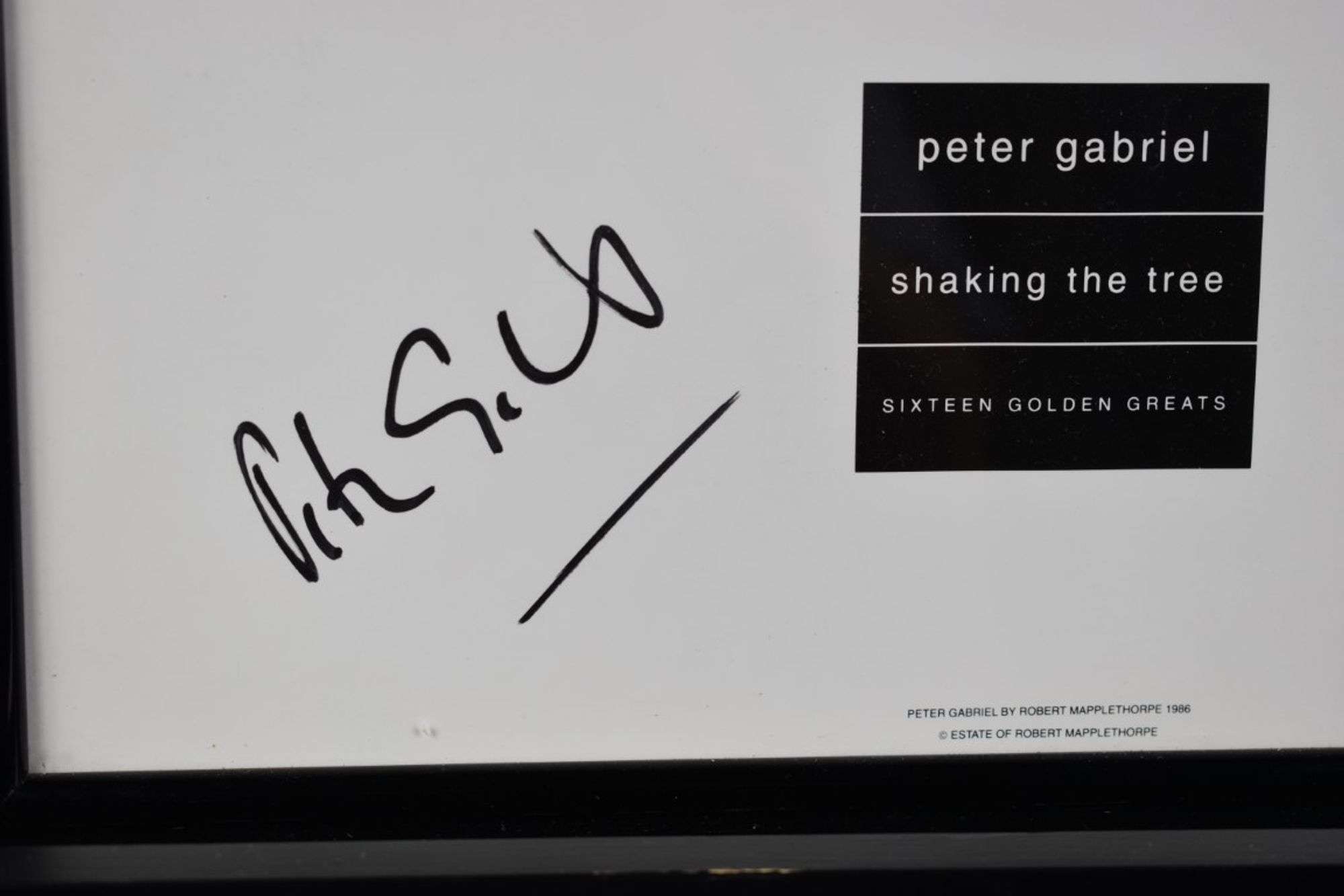 Peter Gabriel Autographed and Numbered Print - Bartkus Auctioneers