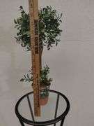 Furniture Plant Stand Round Glass Top Iron Table +Plant