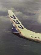 Decor Wall Art 2 Framed BOEING Airplane Photos 737 Company Employee