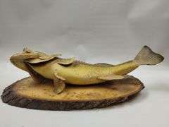 Mounted Fish Taxidermy Raw Wood Plaque Cabin Decor