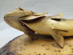 Mounted Fish Taxidermy Raw Wood Plaque Cabin Decor