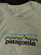 Ladies Sportswear Clothing Patagonia Copper Fit North Face S/M