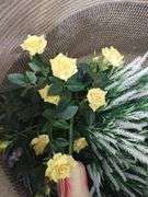 Decor GOODPICK 22x14in Cotton Rope Basket Large