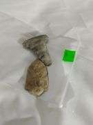2 Primitive Lanceolate Stem Arrow Heads Indiana Native American