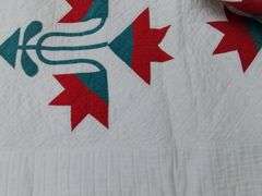 Hand Stitched Antique Quilt North Carolina Lily Pattern Red Green