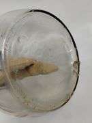Antique Blow Butter Churn Britain Wood Paddle Glass Jar
