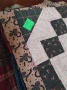 Lot Placemats Patterned Quilted Pioneer Woman