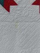 Hand Stitched Antique Quilt North Carolina Lily Pattern Red Green