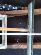 LOT Ladder Floor Squeegee American Flag