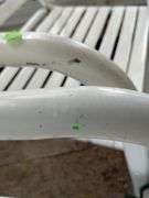 Patio Chairs Steel Tube Plastic Strap
