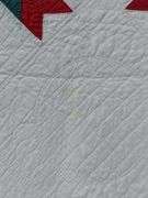 Hand Stitched Antique Quilt North Carolina Lily Pattern Red Green
