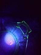 Heisey Glass Octagon Bowl Plate URANIUM Federal Sherbet