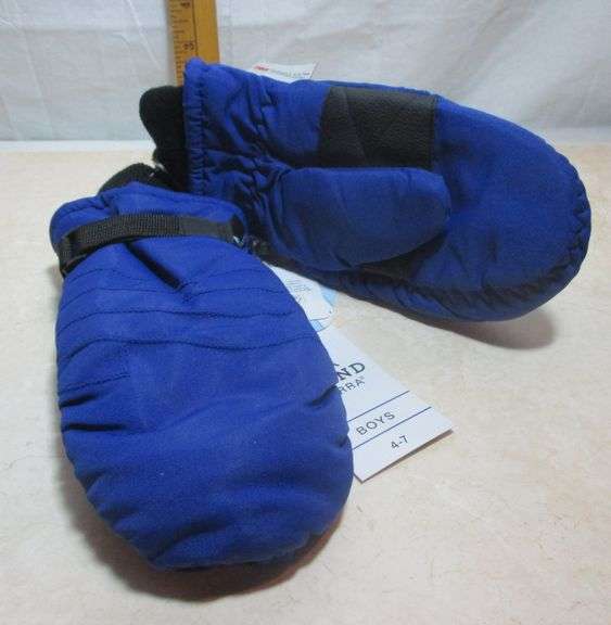 Boy's 4-7 Ski Mittens