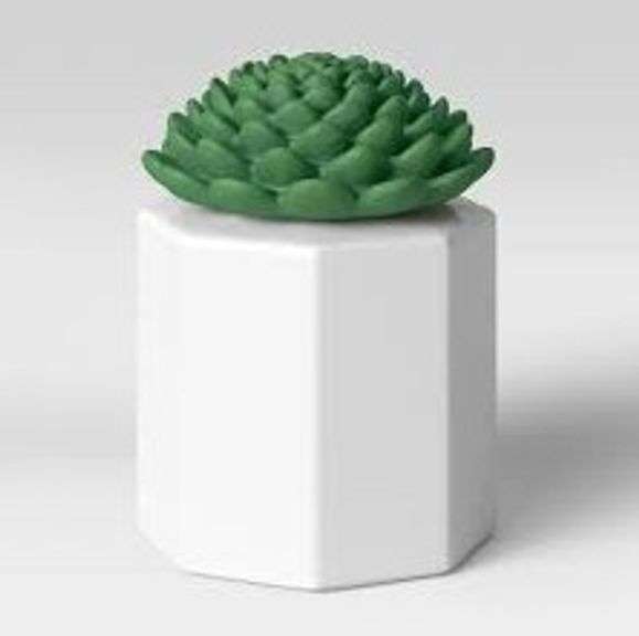 Succulent Glass Tabletop Outdoor Torch - TIKI