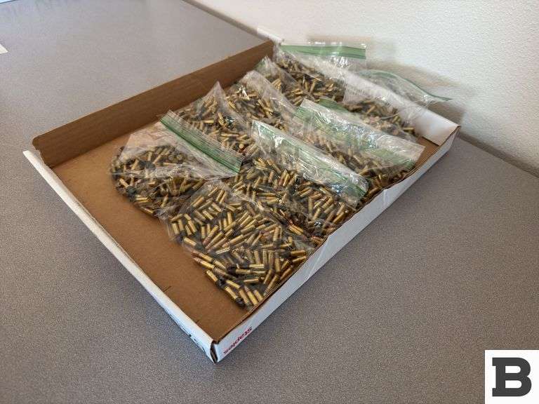 Mixed .22 Ammunition