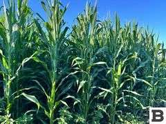 283 Acres of Franklin County Real Estate