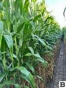 283 Acres of Franklin County Real Estate