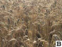 283 Acres of Franklin County Real Estate