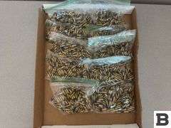 Mixed .22 Ammunition