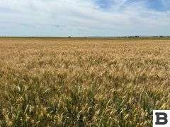 283 Acres of Franklin County Real Estate