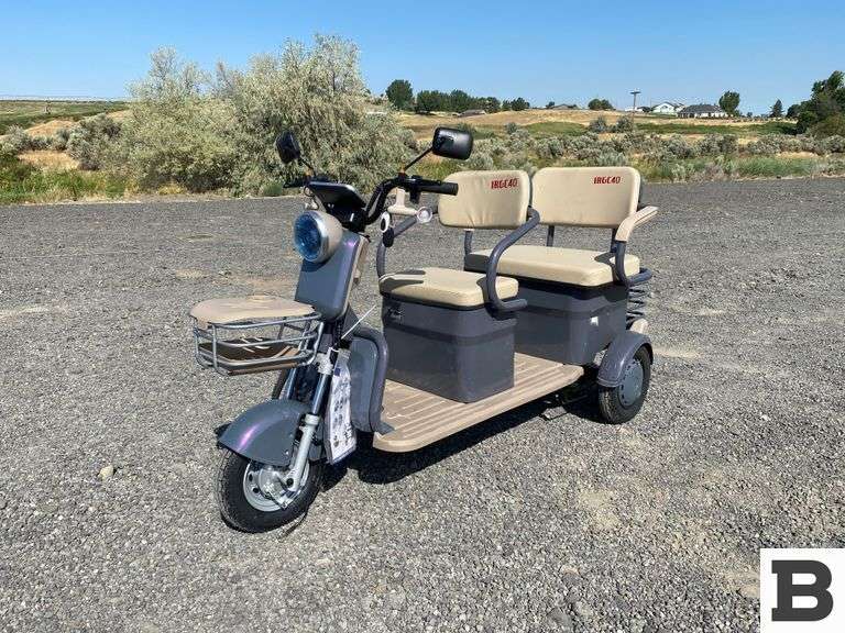2025 IR IRGC40 Mini Golf Cart